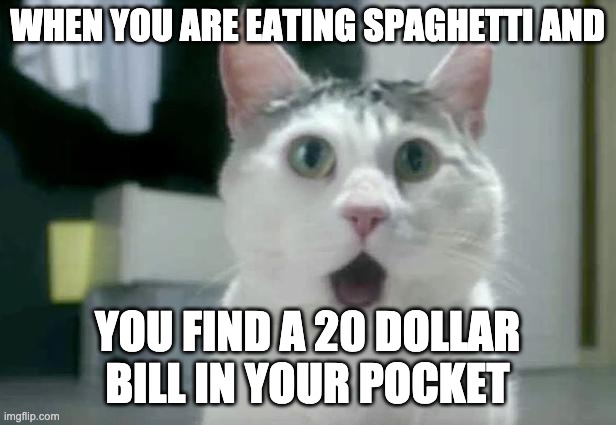 OMG Cat | WHEN YOU ARE EATING SPAGHETTI AND; YOU FIND A 20 DOLLAR BILL IN YOUR POCKET | image tagged in memes,omg cat | made w/ Imgflip meme maker