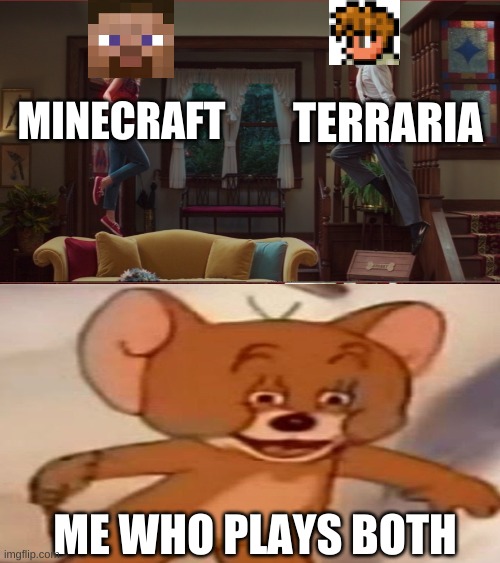 Minecraft vs Terraria |  TERRARIA; MINECRAFT; ME WHO PLAYS BOTH | image tagged in wanda/vision/agnes | made w/ Imgflip meme maker