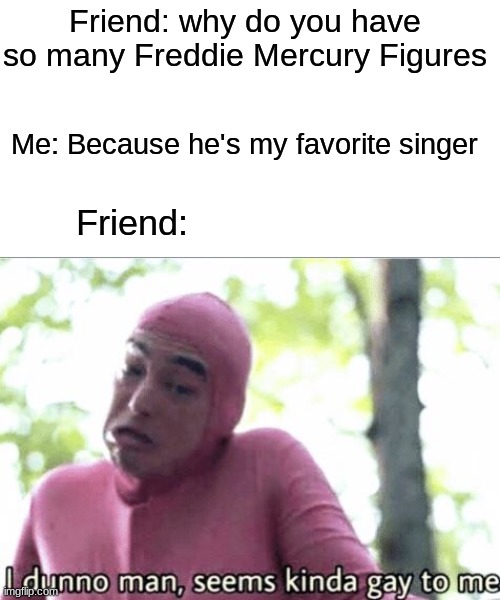 Yes I actually own figures of Freddie | Friend: why do you have so many Freddie Mercury Figures; Me: Because he's my favorite singer; Friend: | image tagged in freddie mercury,queen | made w/ Imgflip meme maker
