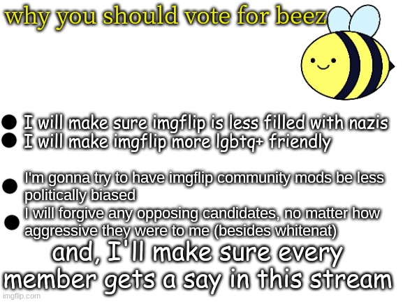 Vote for beez or I'll break your kneez! | why you should vote for beez; I will make sure imgflip is less filled with nazis
I will make imgflip more lgbtq+ friendly; I'm gonna try to have imgflip community mods be less 
politically biased

I will forgive any opposing candidates, no matter how aggressive they were to me (besides whitenat); and, I'll make sure every member gets a say in this stream | image tagged in blank white template | made w/ Imgflip meme maker
