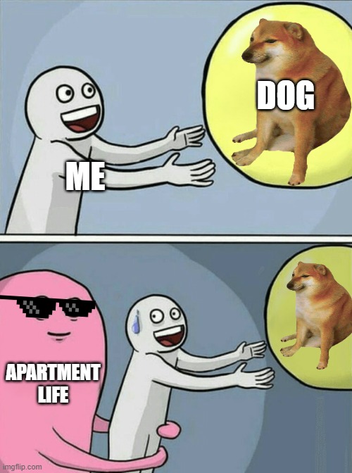 A dog is what I want | DOG; ME; APARTMENT
LIFE | image tagged in memes,running away balloon | made w/ Imgflip meme maker