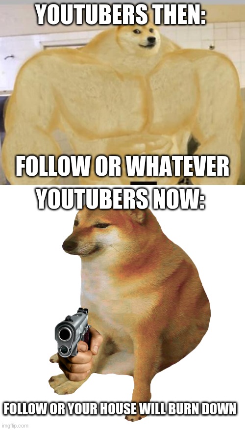 YOUTUBERS THEN:; FOLLOW OR WHATEVER; YOUTUBERS NOW:; FOLLOW OR YOUR HOUSE WILL BURN DOWN | image tagged in buff doge,cheems | made w/ Imgflip meme maker