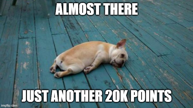 Well 19k points but whatever, time for a longgg haul | ALMOST THERE; JUST ANOTHER 20K POINTS | image tagged in tired dog,points | made w/ Imgflip meme maker