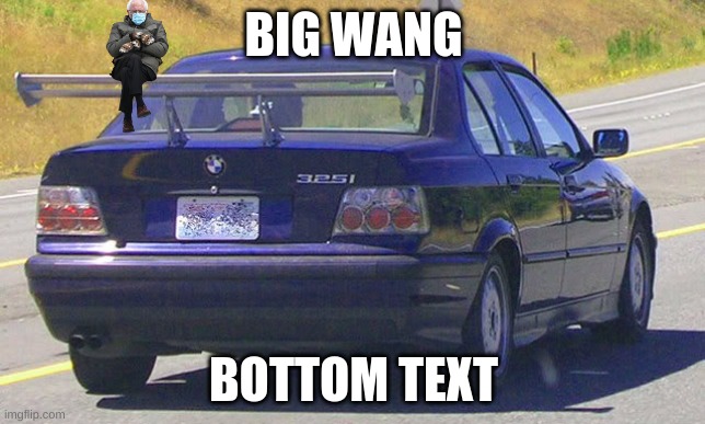 r i c e | BIG WANG; BOTTOM TEXT | image tagged in bmw ricer | made w/ Imgflip meme maker
