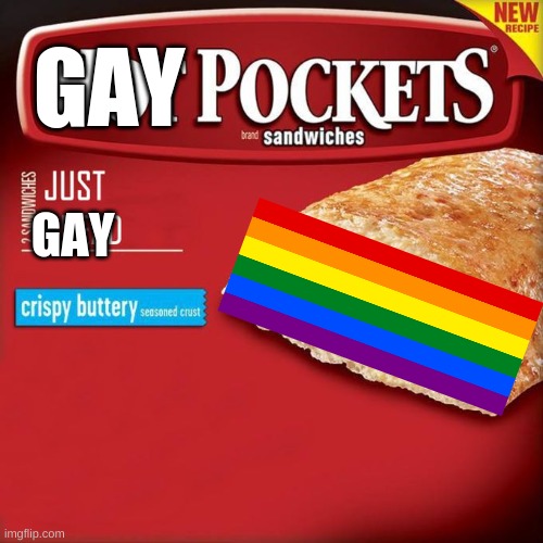 hot gay | GAY; GAY | image tagged in hot pockets,memes | made w/ Imgflip meme maker