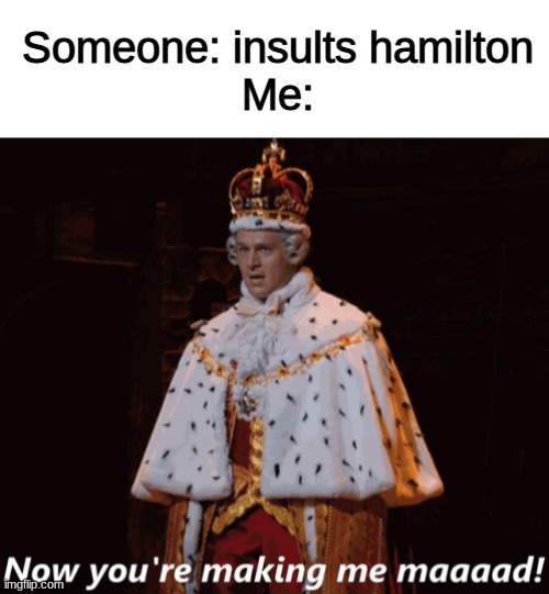 Someone: insults hamilton
Me: | image tagged in blank white template,now you're making me mad hamilton,hamilton | made w/ Imgflip meme maker