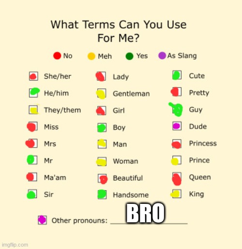 Pronouns Sheet | BRO | image tagged in pronouns sheet | made w/ Imgflip meme maker
