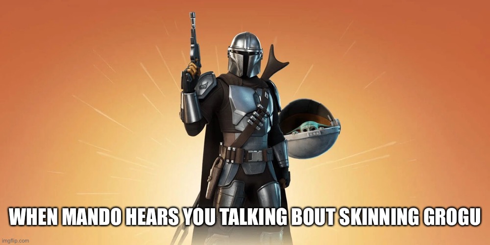 Mando defence | WHEN MANDO HEARS YOU TALKING BOUT SKINNING GROGU | image tagged in mando time | made w/ Imgflip meme maker
