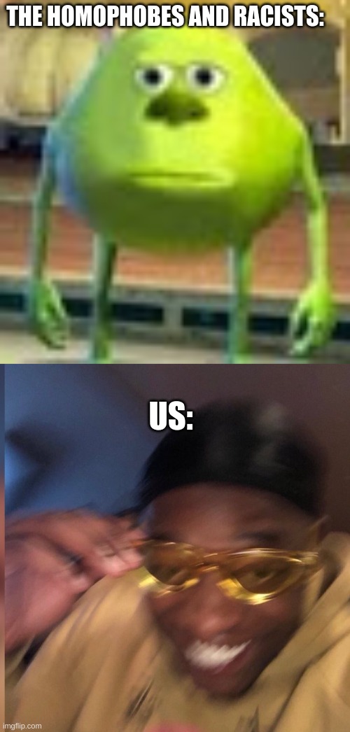 THE HOMOPHOBES AND RACISTS: US: | image tagged in sully wazowski | made w/ Imgflip meme maker
