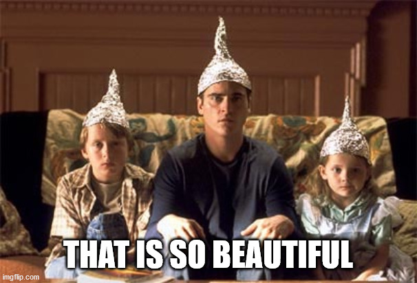tin foil hats | THAT IS SO BEAUTIFUL | image tagged in tin foil hats | made w/ Imgflip meme maker