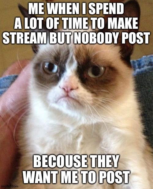 Lol |  ME WHEN I SPEND A LOT OF TIME TO MAKE STREAM BUT NOBODY POST; BECOUSE THEY WANT ME TO POST | image tagged in memes,grumpy cat | made w/ Imgflip meme maker