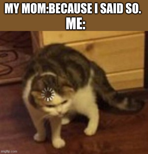 its not a valid answer | ME:; MY MOM:BECAUSE I SAID SO. | image tagged in loading cat | made w/ Imgflip meme maker