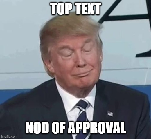 Trump Nod | TOP TEXT NOD OF APPROVAL | image tagged in trump nod | made w/ Imgflip meme maker