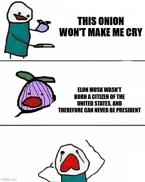 this onion won't make me cry (better quality) | THIS ONION WON'T MAKE ME CRY; ELON MUSK WASN'T BORN A CITIZEN OF THE UNITED STATES, AND THEREFORE CAN NEVER BE PRESIDENT | image tagged in this onion won't make me cry better quality | made w/ Imgflip meme maker