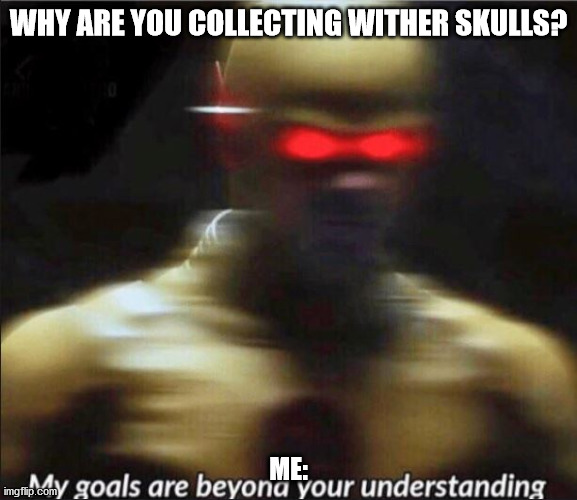 my goals are beyond your understanding | WHY ARE YOU COLLECTING WITHER SKULLS? ME: | image tagged in my goals are beyond your understanding | made w/ Imgflip meme maker