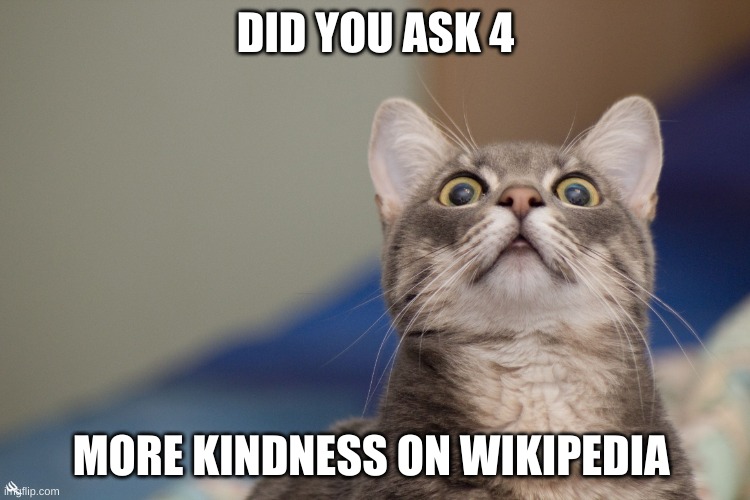 LOLCAT | DID YOU ASK 4; MORE KINDNESS ON WIKIPEDIA | image tagged in lolcat | made w/ Imgflip meme maker