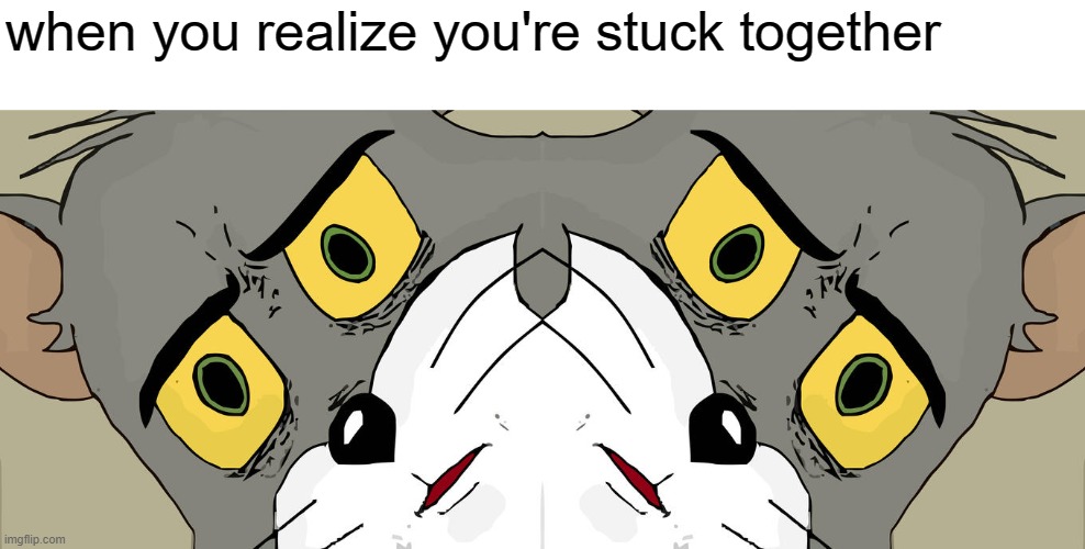 when you realize you're stuck together | image tagged in memes,unsettled tom,gifs,pie charts,ha ha tags go brr | made w/ Imgflip meme maker