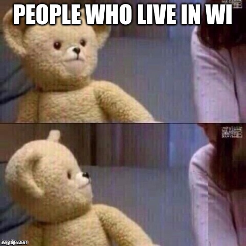 What? Teddy Bear | PEOPLE WHO LIVE IN WI | image tagged in what teddy bear | made w/ Imgflip meme maker