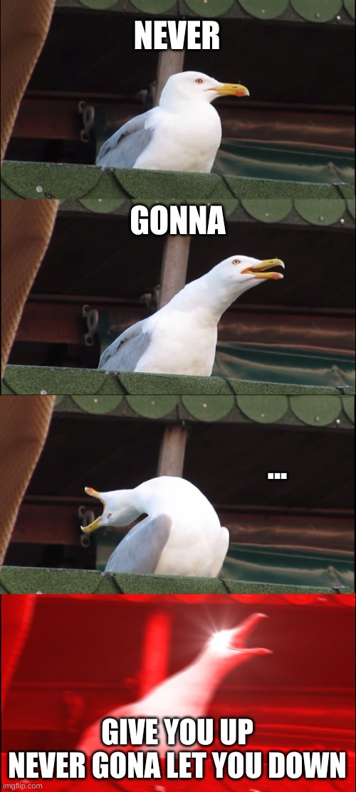 Inhaling Seagull | NEVER; GONNA; ... GIVE YOU UP NEVER GONA LET YOU DOWN | image tagged in memes,inhaling seagull | made w/ Imgflip meme maker