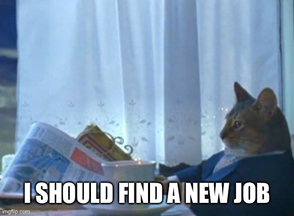 I Should Buy A Boat Cat Meme | I SHOULD FIND A NEW JOB | image tagged in memes,i should buy a boat cat | made w/ Imgflip meme maker