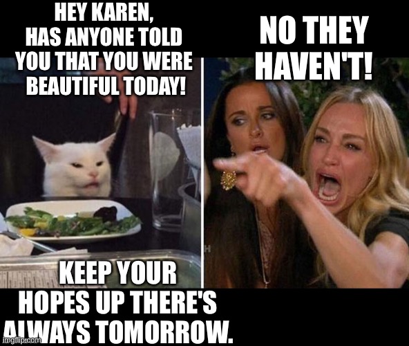 Woman yelling at cat | HEY KAREN, HAS ANYONE TOLD YOU THAT YOU WERE  BEAUTIFUL TODAY! NO THEY HAVEN'T! KEEP YOUR HOPES UP THERE'S ALWAYS TOMORROW. | image tagged in women yelling at cat reversed | made w/ Imgflip meme maker