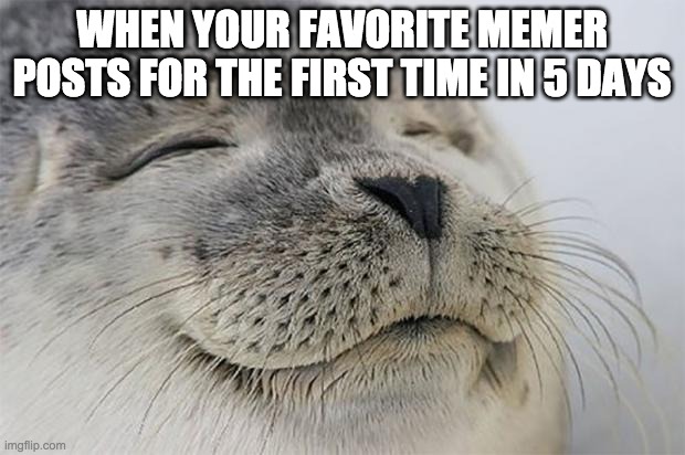 when your favorite memer posts the first time in 5 days | WHEN YOUR FAVORITE MEMER POSTS FOR THE FIRST TIME IN 5 DAYS | image tagged in memes,satisfied seal | made w/ Imgflip meme maker