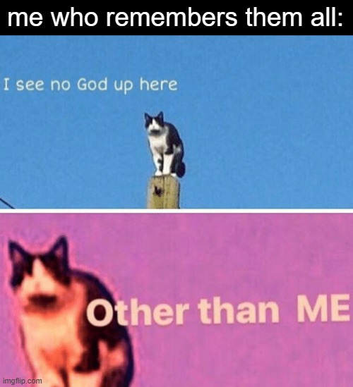 Hail pole cat | me who remembers them all: | image tagged in hail pole cat | made w/ Imgflip meme maker