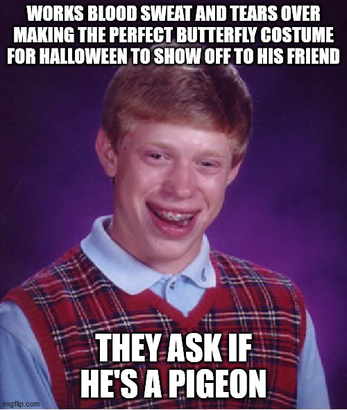 Well, they both fly at least *shrugs* :| | WORKS BLOOD SWEAT AND TEARS OVER MAKING THE PERFECT BUTTERFLY COSTUME FOR HALLOWEEN TO SHOW OFF TO HIS FRIEND; THEY ASK IF HE'S A PIGEON | image tagged in memes,bad luck brian,crossover,is this a pigeon,halloween,costume | made w/ Imgflip meme maker