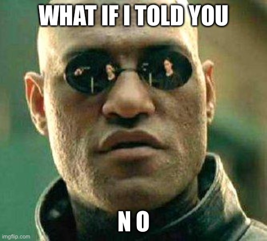 What if i told you | WHAT IF I TOLD YOU N O | image tagged in what if i told you | made w/ Imgflip meme maker