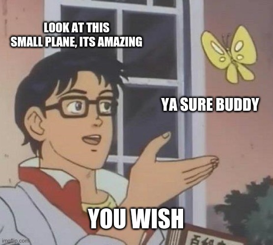 WOW SO SMART | LOOK AT THIS SMALL PLANE, ITS AMAZING; YA SURE BUDDY; YOU WISH | image tagged in memes,is this a pigeon | made w/ Imgflip meme maker