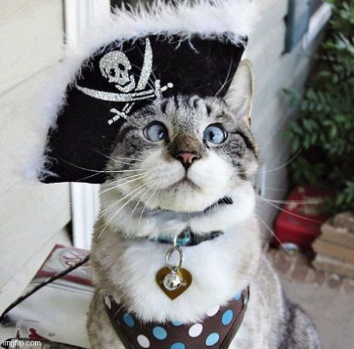 Spangles Meme | image tagged in memes,spangles | made w/ Imgflip meme maker