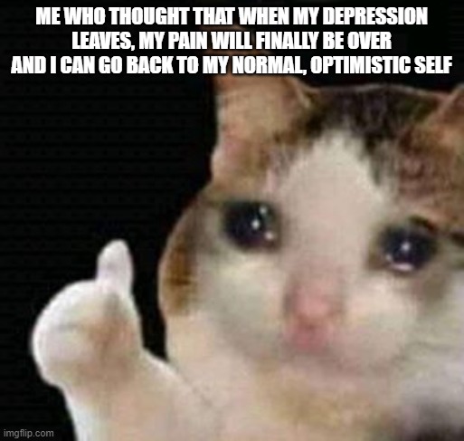 crying thumbs up | ME WHO THOUGHT THAT WHEN MY DEPRESSION LEAVES, MY PAIN WILL FINALLY BE OVER AND I CAN GO BACK TO MY NORMAL, OPTIMISTIC SELF | image tagged in crying thumbs up | made w/ Imgflip meme maker
