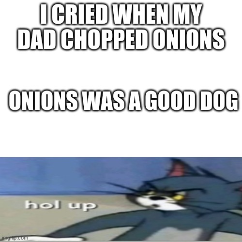 Blank Transparent Square Meme | I CRIED WHEN MY DAD CHOPPED ONIONS; ONIONS WAS A GOOD DOG | image tagged in memes,blank transparent square | made w/ Imgflip meme maker