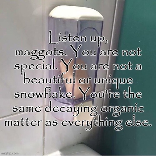 soap | Listen up, maggots. You are not special. You are not a beautiful or unique snowflake. You're the same decaying organic matter as everything else. | image tagged in soap,fight club,tyler durden | made w/ Imgflip meme maker