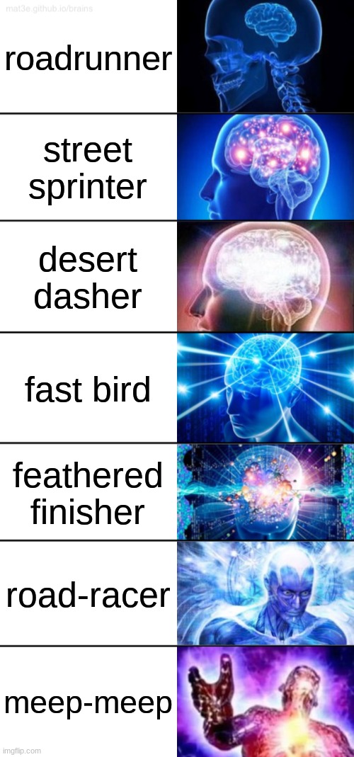 meep-meep | roadrunner; street sprinter; desert dasher; fast bird; feathered finisher; road-racer; meep-meep | image tagged in 7-tier expanding brain,looney tunes | made w/ Imgflip meme maker