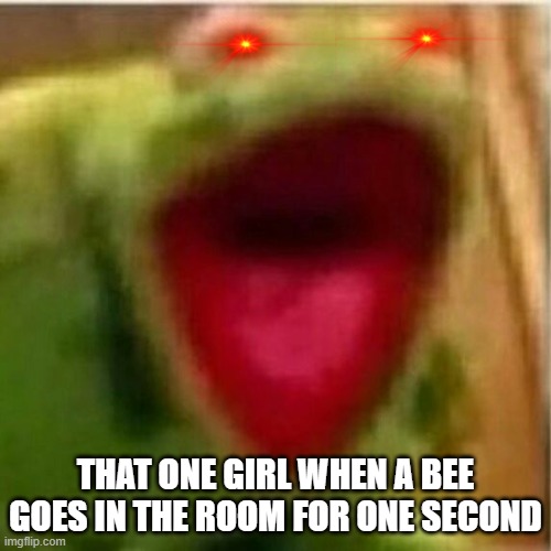 AHHHHHHHHHHHHH | THAT ONE GIRL WHEN A BEE GOES IN THE ROOM FOR ONE SECOND | image tagged in ahhhhhhhhhhhhh | made w/ Imgflip meme maker