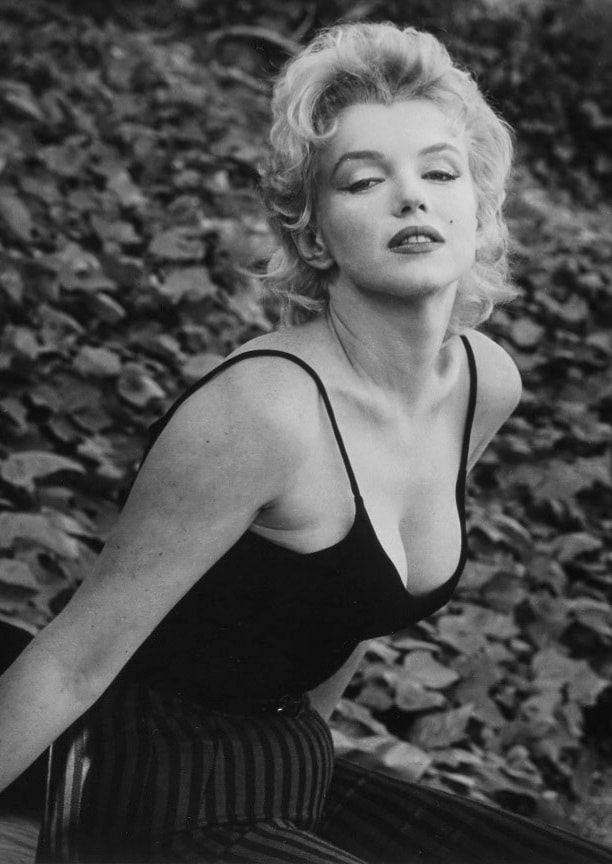 Marilyn Monroe Blank Meme Template