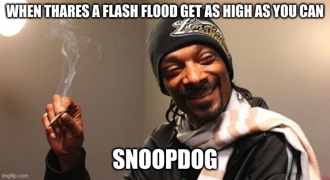 Snoop Dogg | WHEN THARES A FLASH FLOOD GET AS HIGH AS YOU CAN; SNOOPDOG | image tagged in snoop dogg | made w/ Imgflip meme maker