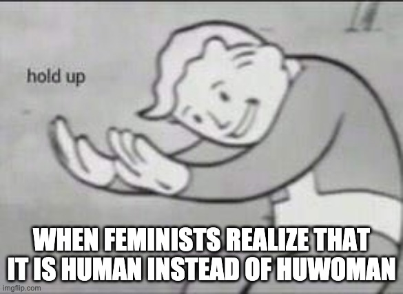 Fallout Hold Up | WHEN FEMINISTS REALIZE THAT IT IS HUMAN INSTEAD OF HUWOMAN | image tagged in fallout hold up | made w/ Imgflip meme maker