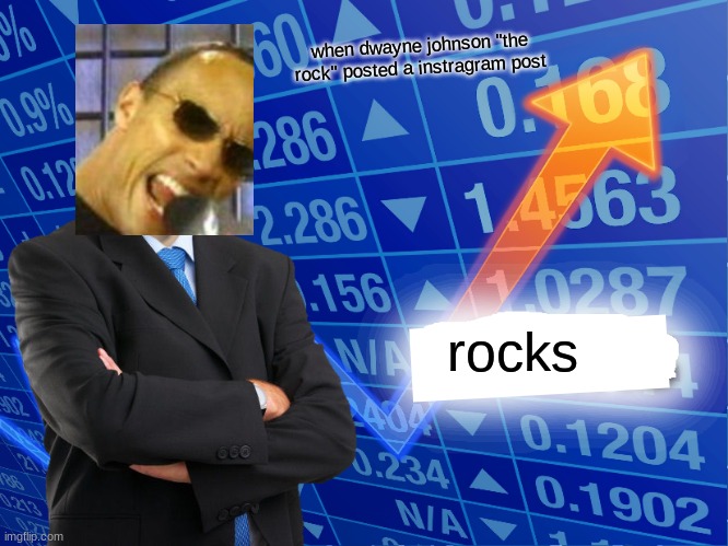 rocks | when dwayne johnson "the rock" posted a instragram post; rocks | image tagged in empty stonks,the rock | made w/ Imgflip meme maker