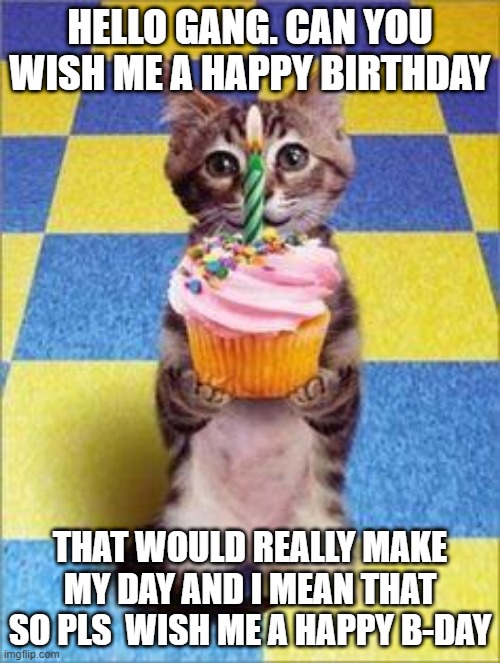 pls guys wish me a happy b-day | HELLO GANG. CAN YOU WISH ME A HAPPY BIRTHDAY; THAT WOULD REALLY MAKE MY DAY AND I MEAN THAT SO PLS  WISH ME A HAPPY B-DAY | image tagged in happy birthday cat | made w/ Imgflip meme maker