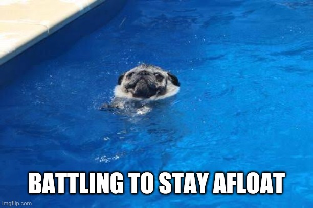 BATTLING TO STAY AFLOAT | made w/ Imgflip meme maker