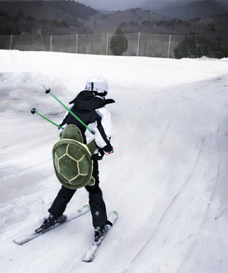 Skiing turtle Blank Meme Template