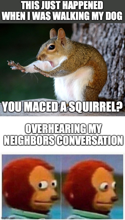 THIS JUST HAPPENED WHEN I WAS WALKING MY DOG; YOU MACED A SQUIRREL? OVERHEARING MY NEIGHBORS CONVERSATION | image tagged in squirll,memes,monkey puppet | made w/ Imgflip meme maker