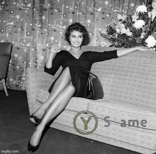 High Quality Y Same Sophia Loren Blank Meme Template