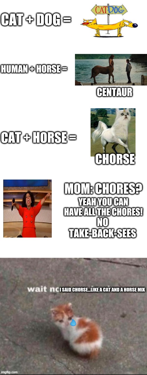 this is a weird and kinda stupid one plus its long | CAT + DOG =; HUMAN + HORSE =; CENTAUR; CAT + HORSE =; CHORSE; MOM: CHORES? NO TAKE-BACK-SEES; YEAH YOU CAN HAVE ALL THE CHORES! I SAID CHORSE...LIKE A CAT AND A HORSE MIX | image tagged in memes,blank transparent square,blank white template,wait no come back | made w/ Imgflip meme maker