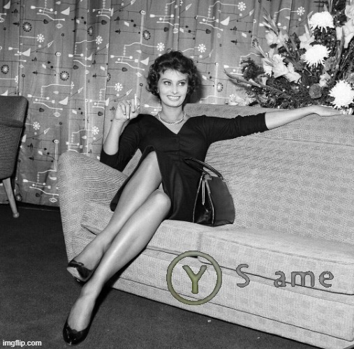 Y Same Sophia Loren | image tagged in y same sophia loren | made w/ Imgflip meme maker