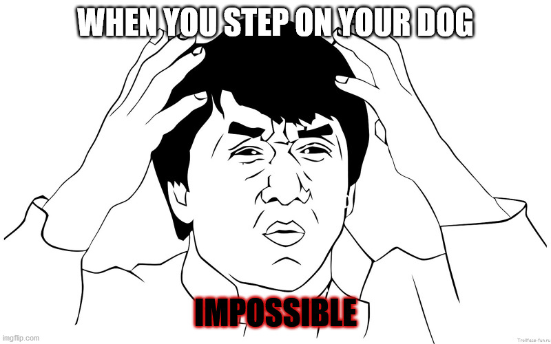 When You Step On Your Dog... | WHEN YOU STEP ON YOUR DOG; IMPOSSIBLE | image tagged in whaat | made w/ Imgflip meme maker