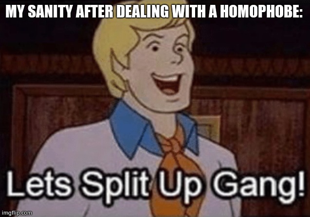 Let’s split up hang! | MY SANITY AFTER DEALING WITH A HOMOPHOBE: | image tagged in let s split up hang | made w/ Imgflip meme maker