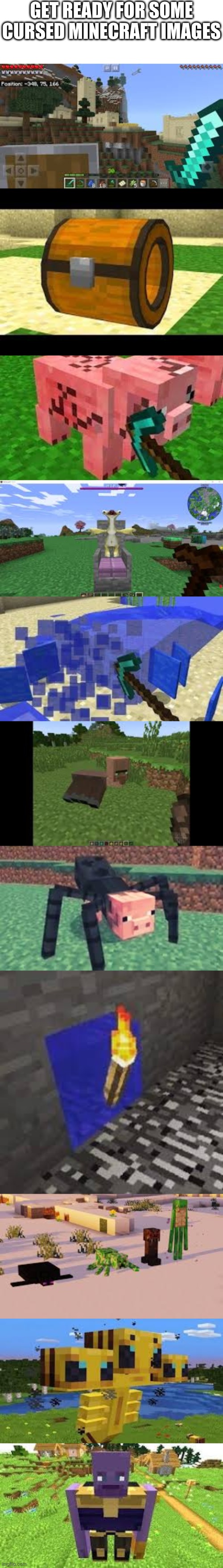 THIS IS ALL UNHOLY!!! | GET READY FOR SOME CURSED MINECRAFT IMAGES | image tagged in blank white template,minecraft,cursed image,thanos | made w/ Imgflip meme maker